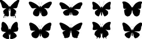 Premium Vector Set Of Butterfly In Flight Silhouettes Black Set Of