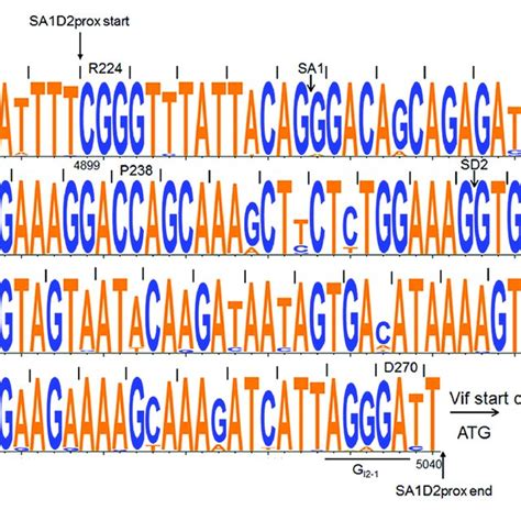 Sequence Alignment Of Sa D Prox Among Hiv Subtype B Viruses