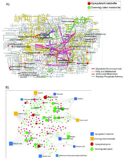 Integrated Transcriptomic And Metabolome Analysis Provides Unique