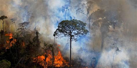 El alto riesgo de desastres naturales en América Latina