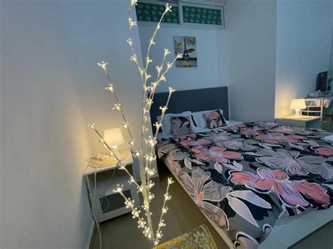 Private Cozy Furnished Studio No 14 Khalidiya Park Villa Abu Dhabi Uae