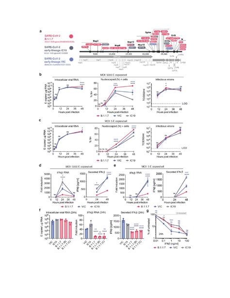 Pdf Evolution Of Enhanced Innate Immune Evasion By The Sars Cov B