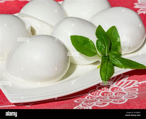 Cheese Collection White Balls Of Fresh Italian Soft Cheese Mozzarella