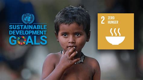 Sdg Sustainable Development Goals Goal 2 Zero Hunger Youtube