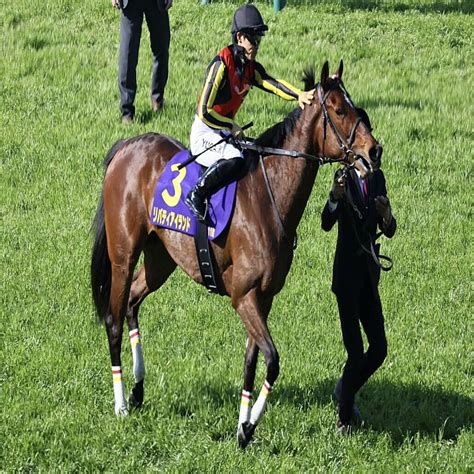 【オークス】出走馬の調教後の馬体重 2023年5月18日掲載 ライブドアニュース