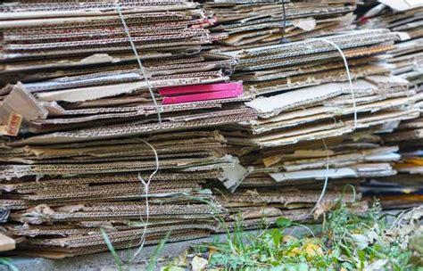 Using Cardboard As A Weed Barrier