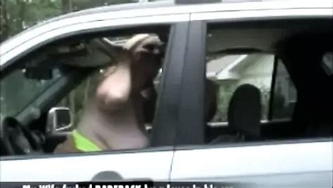 Licking Strangers Creampie From My Wifes Pussy Stranger Porn XHamster