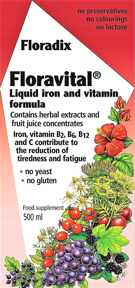 Salus Floradix Floravital Liquid Iron And Vitamin Formula Guava