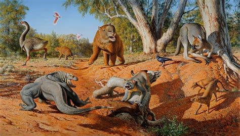 Humans caused Megafauna extinction in Australia