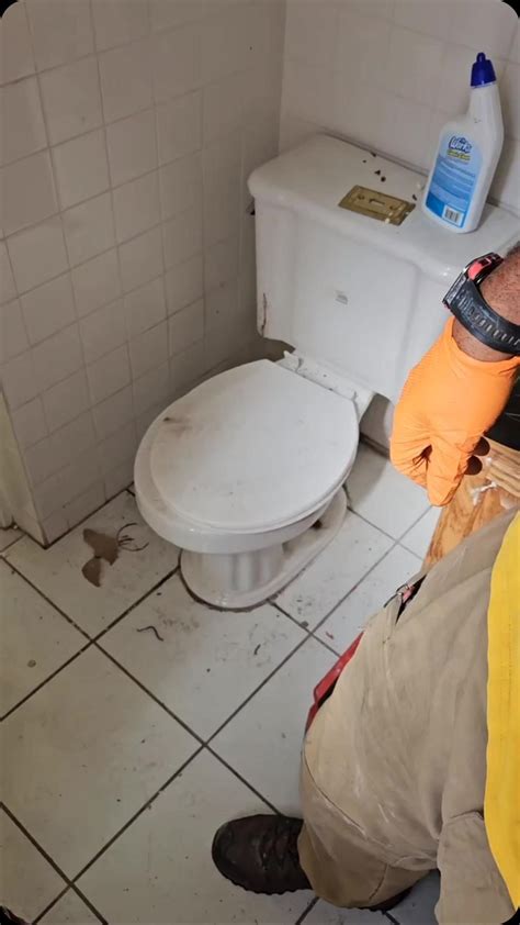 Installing a Kohler Memoirs One-Piece Toilet🔧 Fill out an online form