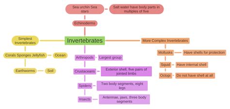 Invertebrates Coggle Diagram