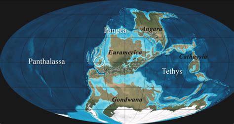 A Map Of Pangea With Borders Coolguides