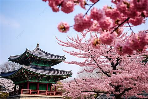 The Pagoda In Seoul Background, Architecture, Ancient Architecture, Tile Roof Background Image ...