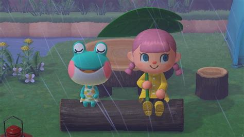 Oh To Be Sitting In The Rain Next To Lily On A Tree Log Animal