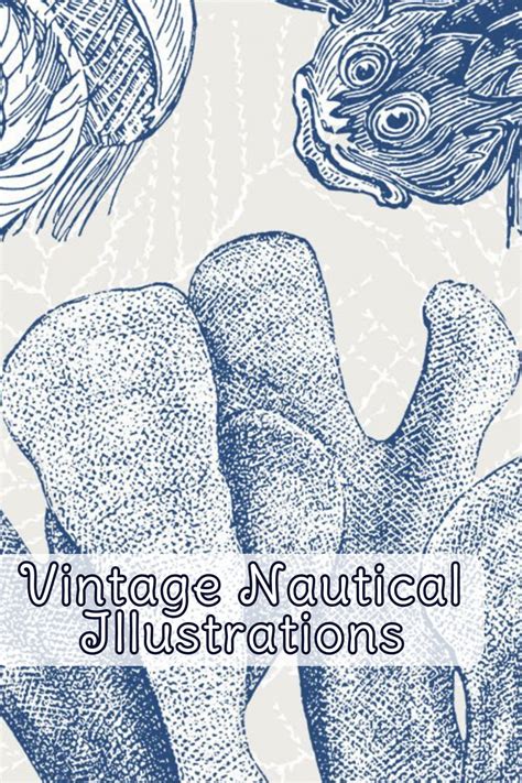 88 Vintage Nautical Illustrations Masterbundles