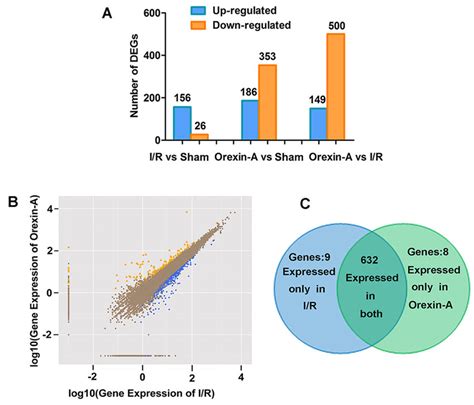 Diagram Of Differentially Expressed Genes A Number Of Up And