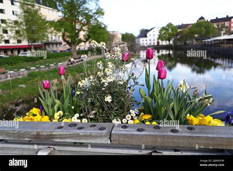 Daily Life In Uppsala Sweden During Saturday Here You Can See