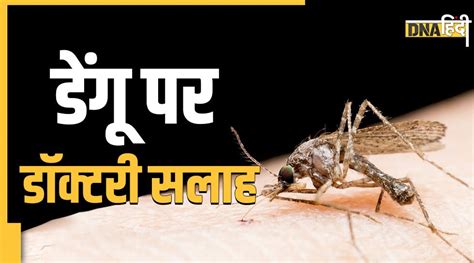 Dengue Fever क्यों होता है डेंगू में प्लाज्मा और खून का रिसाव क्या है