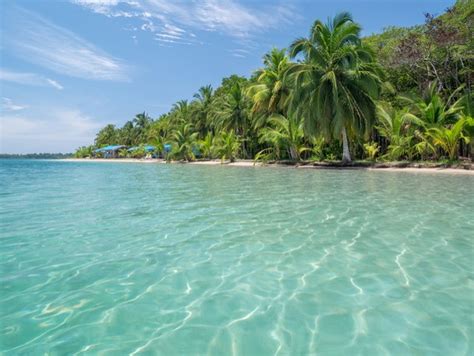 Que faire à Bocas del Toro au Panama Focus touristique