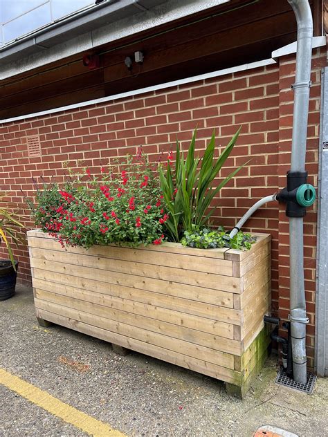 Meristem Design SuDS And Rain Gardens To Prevent Fooding In London