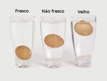 7 Dicas para saber se os ovos são frescos ou velhos GosteiSalvei