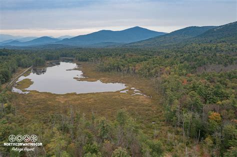 Fall Foliage Tracker 2023 - North Conway NH area Information and Guide