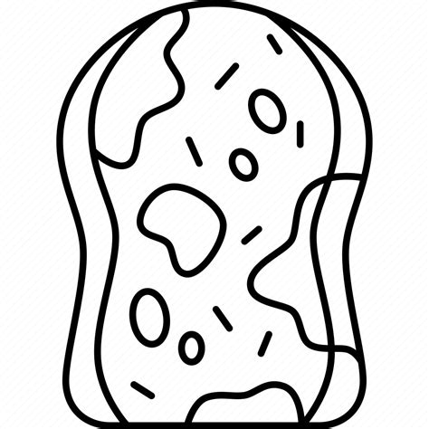 Bread Mold Fungus Food Inedible Icon Download On Iconfinder