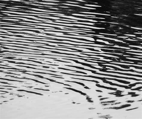 Black And White Water Ripples Free Stock Photo - Public Domain Pictures