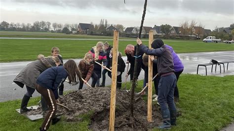 Wethouders En Leerlingen Planten Bomen In Ferwert En Damw Ld Rtv