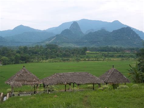 Gambar Pemandangan Sawah Dan Pegunungan Terindah Freewaremini