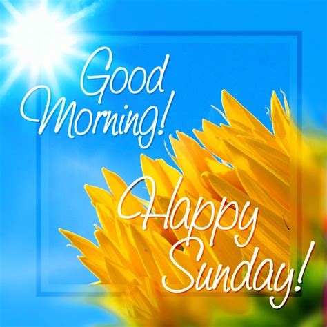 Happy Sunday Good Morning Images