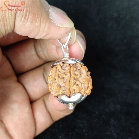 Natural Mukhi Face Rudraksha Pendant Shraddha Shree Gems