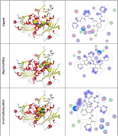 2d And 3d Docking Interaction Between The Ligand And Its Metal