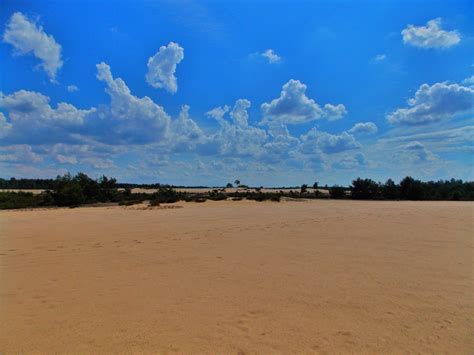 Deserts in Poland you must visit – the Kozlow Desert