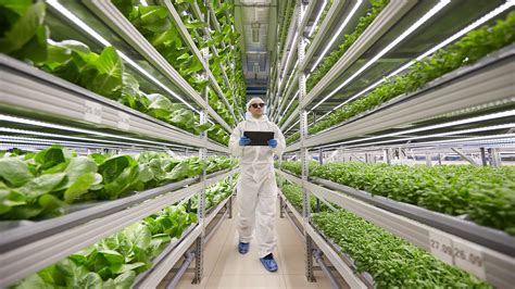 Vertical Farming Technologies By Ifarm