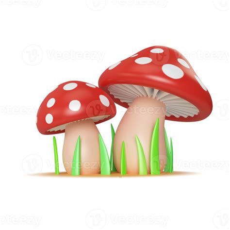 Mushroom D Illustration Icon Png