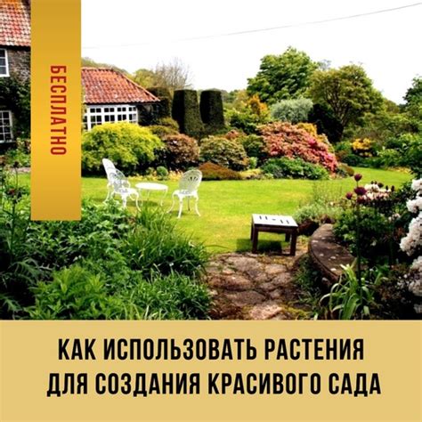 Книга "Как использовать растения для создания красивого сада": купить в ...