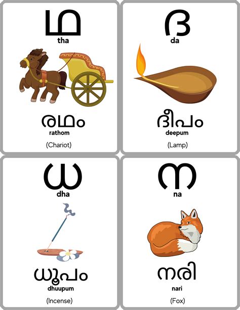 Malayalam Alphabet Flashcards Malayalam Consonants Learn Etsy