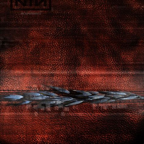 Nine Inch Nails Reaps Remix Instrumentals Part 002 Reaps