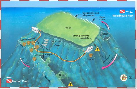 Straits Of Tiran National Park