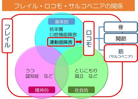 健康寿命を延ばしたい！ロコモ度テストで今の自分を見つめなおそう！ スリーウエルネス