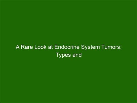 A Rare Look At Endocrine System Tumors Types And Treatment Options