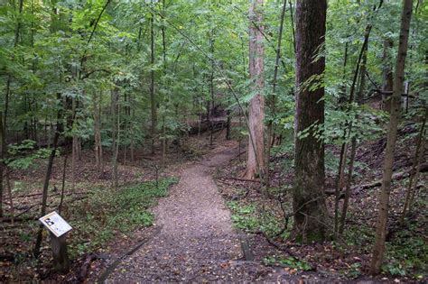 Fires Bird Banding And 16 Trails Kalamazoo Nature Center Brings The