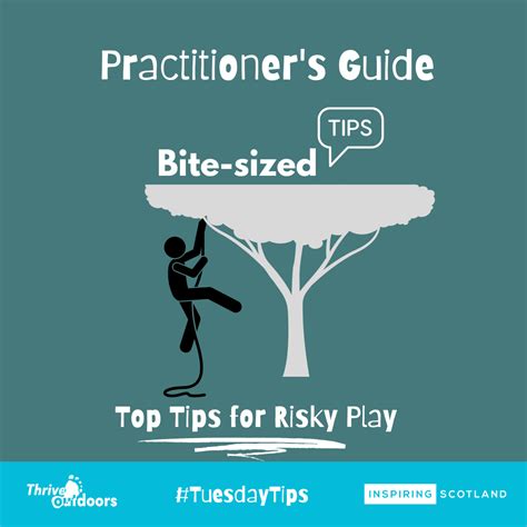 Practitioner S Guide Bite Sized Tips Risky Play Inspiring Scotland