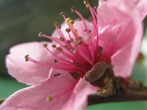 Пълноценен и щастлив живот