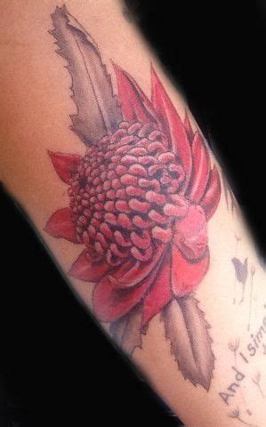 Waratah flower tattoo. | Half sleeve tattoo, Sleeve tattoos, Flower tattoo