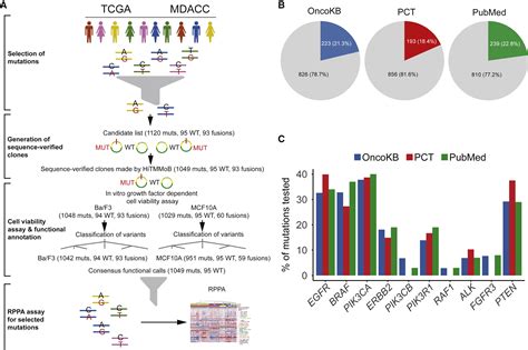 Systematic Functional Annotation Of Somatic Mutations In Cancer Cancer