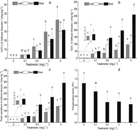 Vanadium Accumulation And Translocation In Different Tissues Of