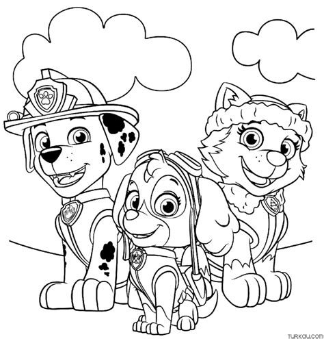 Cartoon Skye Paw Patrol Coloring Page Turkau