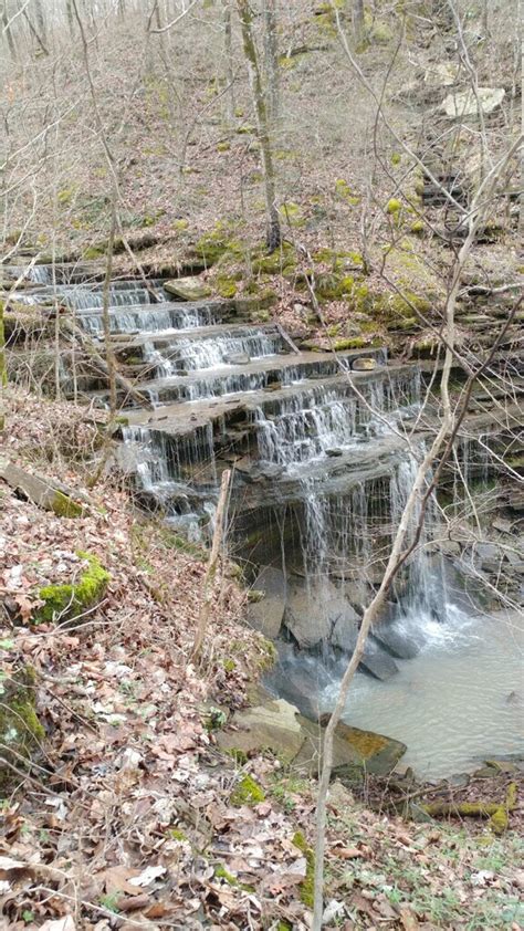 Searching for Waterfalls in the Ozark National Forest – Travels with Abby